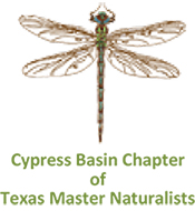 CypressNaturalists